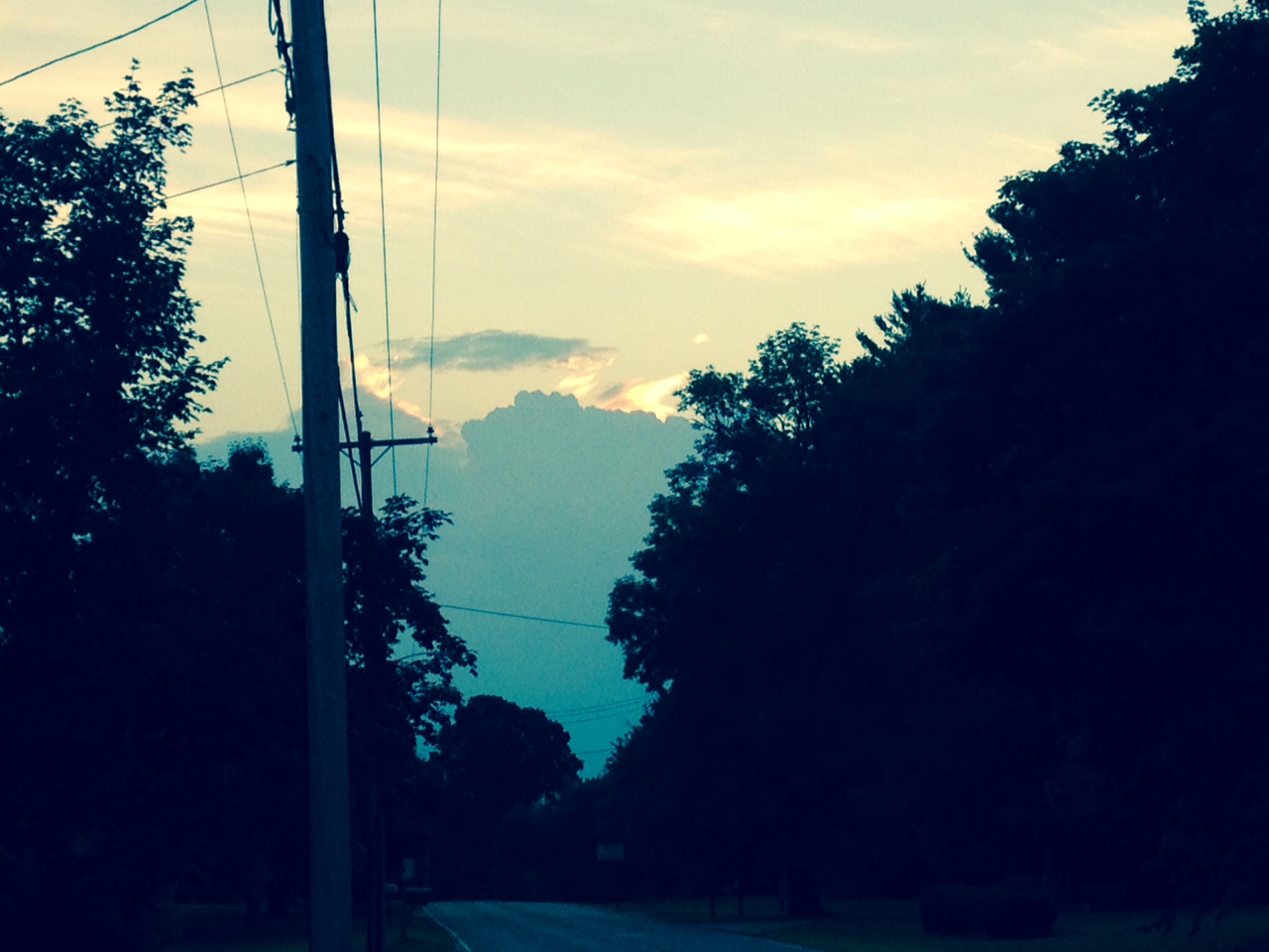 Dusk sky over a tree-lined road with a telephone pole
